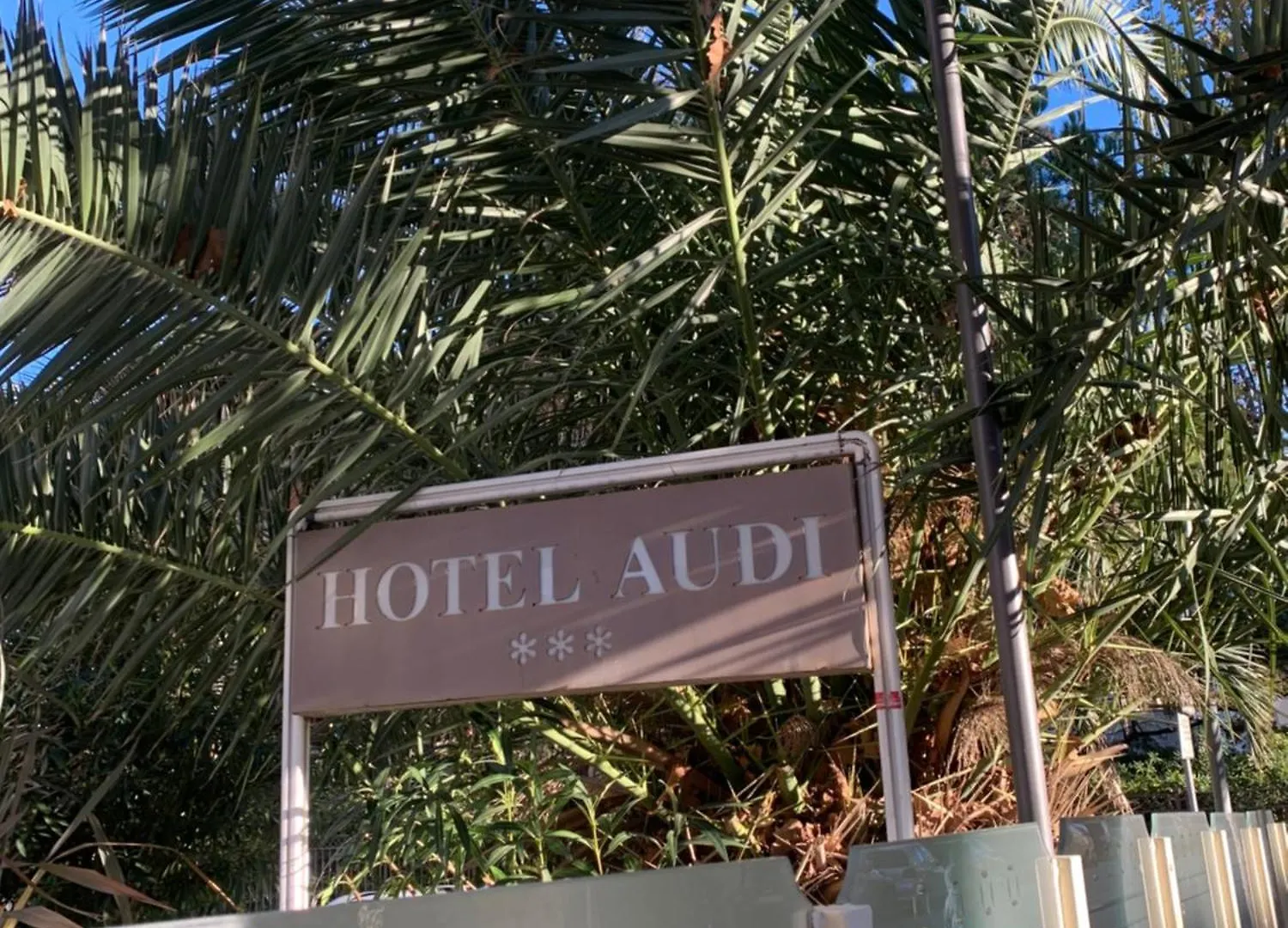 Hotel Audi Frontemare Rimini